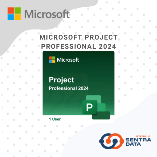 Project Professional 2024
