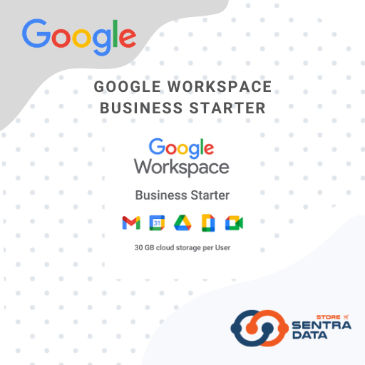 Google Workspace Business Starter